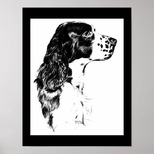 Vintager Springer Spaniel Dog Black and White Art Poster (Vorne)