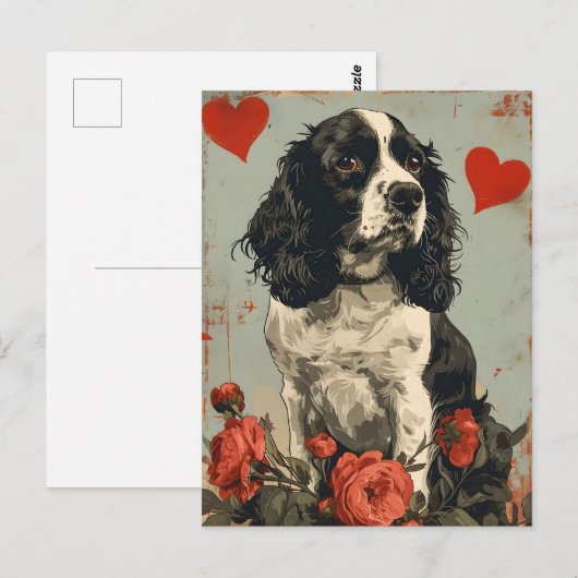 Vintager Springer-Spaniel-Valentinstag Postkarte (Vorne/Hinten)