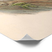 Vintager Stallvogel Poster (Ecke)