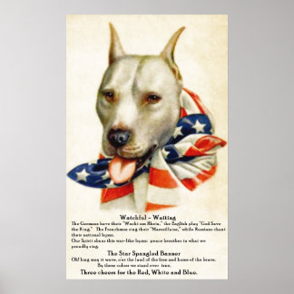 Vintager Star-Spangled Banner Pit Bull Dog 2 Poste Poster