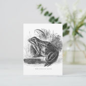 Vintager Stift und Tinte zeichnend Frosch Postkarte (Stehend Vorderseite)