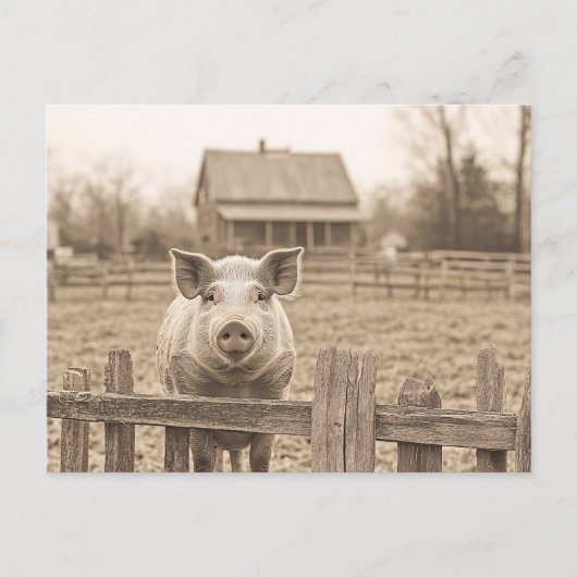 Vintager Stil der Farm Postkarte (Vorderseite)
