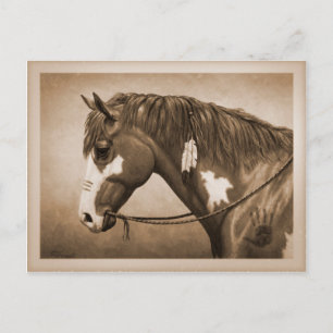Vintager Stil des amerikanischen Pinto War Horses Postkarte