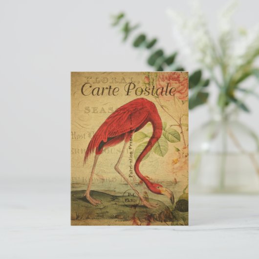 Vintager Stil Flamingo Postkarte (Stehend Vorderseite)