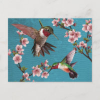 Vintager Stil Hummingbird Painting Postcard