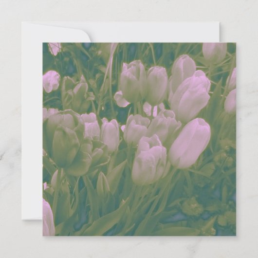 Vintager Stil Tulip Wedding Custom Einladungen (Rückseite)