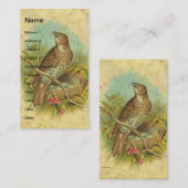 Vintager Stress Visitenkarte (Vorne/Hinten)
