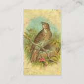 Vintager Stress Visitenkarte (Rückseite)