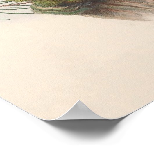 Vintager Tengmalmvogel Poster (Ecke)