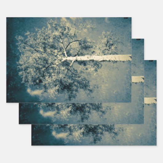 Vintager Texturwald gegen grauen Himmel Geschenkpapier Set (Set)