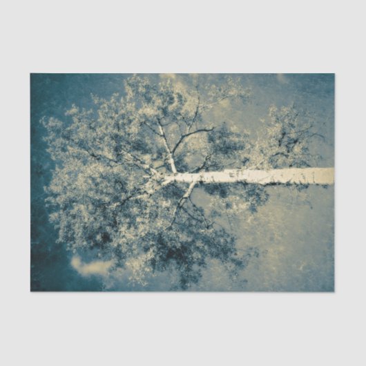 Vintager Texturwald gegen grauen Himmel Seidenpapier (Vorderseite)