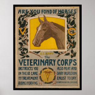 VINTAGER Tierarzt WW1. Korps PLAKAT
