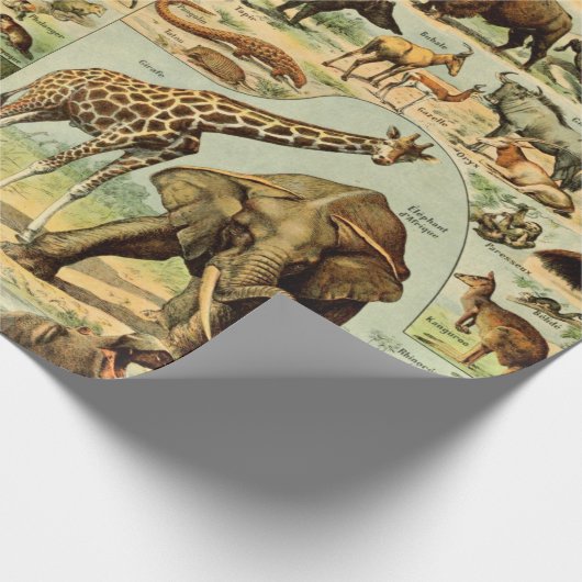 Vintager Tierdruck Afrikanische Wildtiere Geschenkpapier (Ecke)