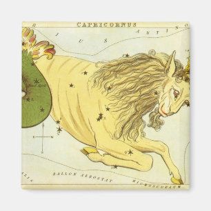 Vintager Tierkreis, Magnet