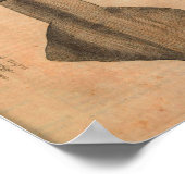 Vintager Tintenfisch Art Print Illustration Sea Poster (Ecke)