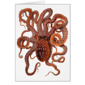 Vintager Tintenfisch Macropus, Meerwassertiere (Vorne)