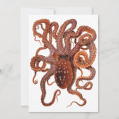 Vintager Tintenfisch Macropus, Meerwassertiere (Vorderseite)