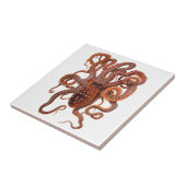 Vintager Tintenfisch Macropus, Meerwassertiere Fliese (Seite)