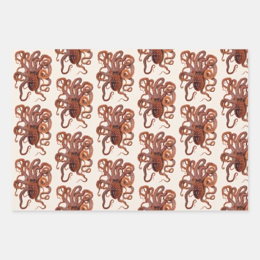 Vintager Tintenfisch Macropus, Meerwassertiere Geschenkpapier Set (Vorderseite 3)