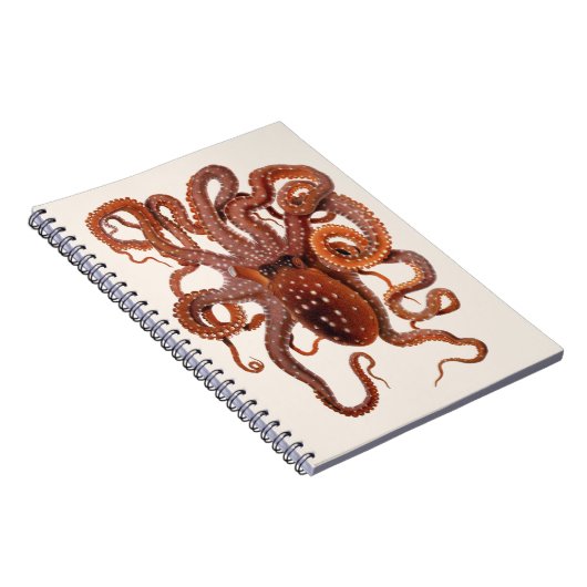 Vintager Tintenfisch Macropus, Meerwassertiere Notizblock (Rechte Seite)