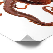 Vintager Tintenfisch Macropus, Meerwassertiere Poster (Ecke)