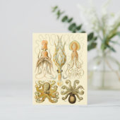 Vintager Tintenfisch/Oktopus Postkarte (Stehend Vorderseite)