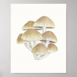Vintager Toadstool Pilz Fungus Fungi Poster