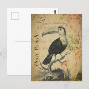 Vintager Toucan Bird Postkarte