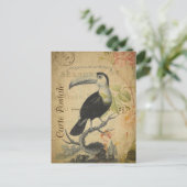 Vintager Toucan Bird Postkarte (Stehend Vorderseite)