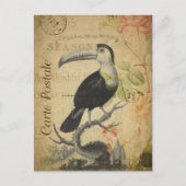 Vintager Toucan Bird Postkarte (Vorderseite)