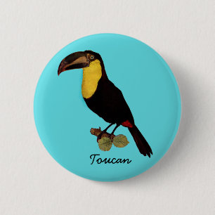 VINTAGER TOUCAN VOGEL. YELLOW-THROATED TOUCAN BUTTON