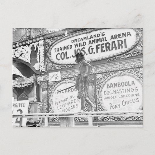 Vintager TraumLand`s Wilde Tiere Postkarte (Vorderseite)