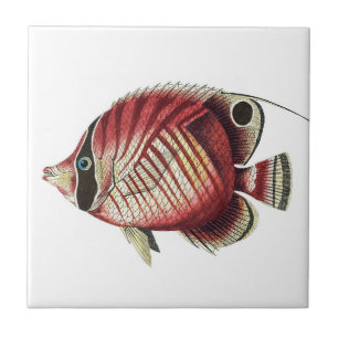 Vintager Tropengelfisch Fliese