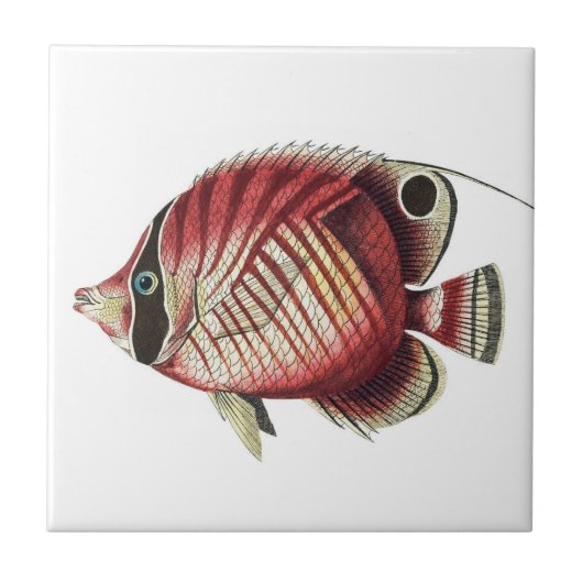 Vintager Tropengelfisch Fliese (Vorderseite)