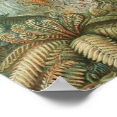 Vintager Tropenpalmenbaum, Retro Botanisch Poster (Ecke)