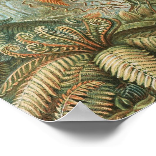 Vintager Tropenpalmenbaum, Retro Botanisch Poster (Ecke)