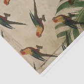 Vintager Tropenpapagei Seidenpapier (Ausschnitt)