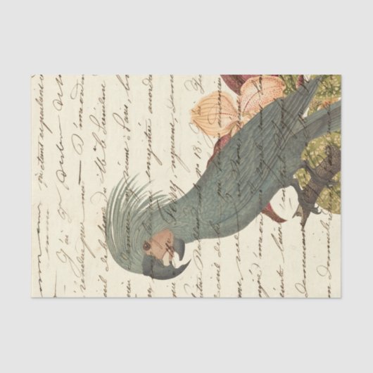 Vintager Tropenpapagei Seidenpapier (Vorderseite)