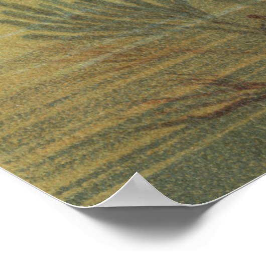 Vintager tropischer Fisch Poster (Ecke)