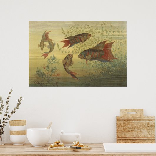 Vintager tropischer Fisch Poster (Küche)