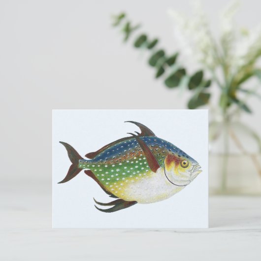 Vintager tropischer Ochsenfisch, Meerwassertier Postkarte (Stehend Vorderseite)
