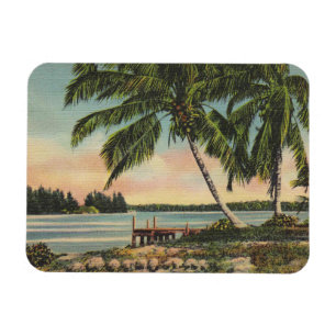 Vintager tropischer Palmenbaum Sonnenuntergang Magnet