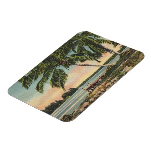Vintager tropischer Palmenbaum Sonnenuntergang Magnet (Linke Seite)