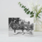 Vintager Trotter und schwefelig Postkarte (Stehend Vorderseite)