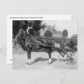 Vintager Trotter und schwefelig Postkarte (Vorne/Hinten)