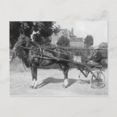 Vintager Trotter und schwefelig Postkarte (Vorderseite)