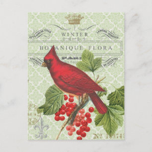Vintager Urlaub-Winter Roter Kardinal Postkarte