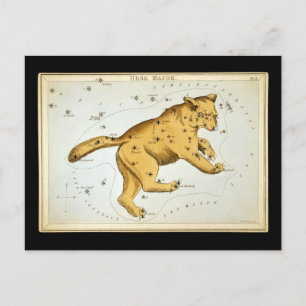 Vintager Ursa-Großbär Postkarte