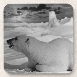 Vintager US-Alaska-Eisbär Getränkeuntersetzer