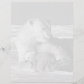 Vintager USA Alaska Mutterpolare (Vorderseite)